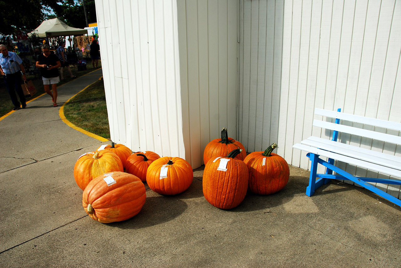 2013-09-07, 019, Clay County Fair, IA