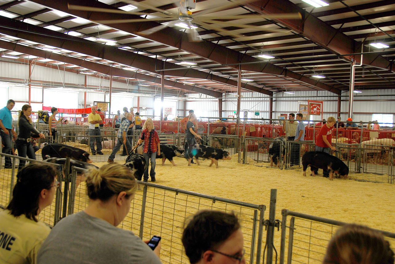 2013-09-07, 046, Clay County Fair, IA
