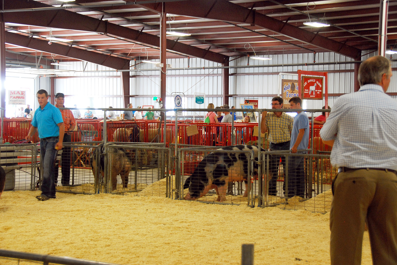2013-09-07, 049, Clay County Fair, IA