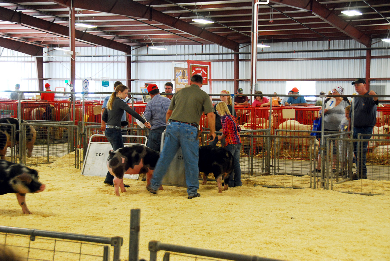 2013-09-07, 050, Clay County Fair, IA