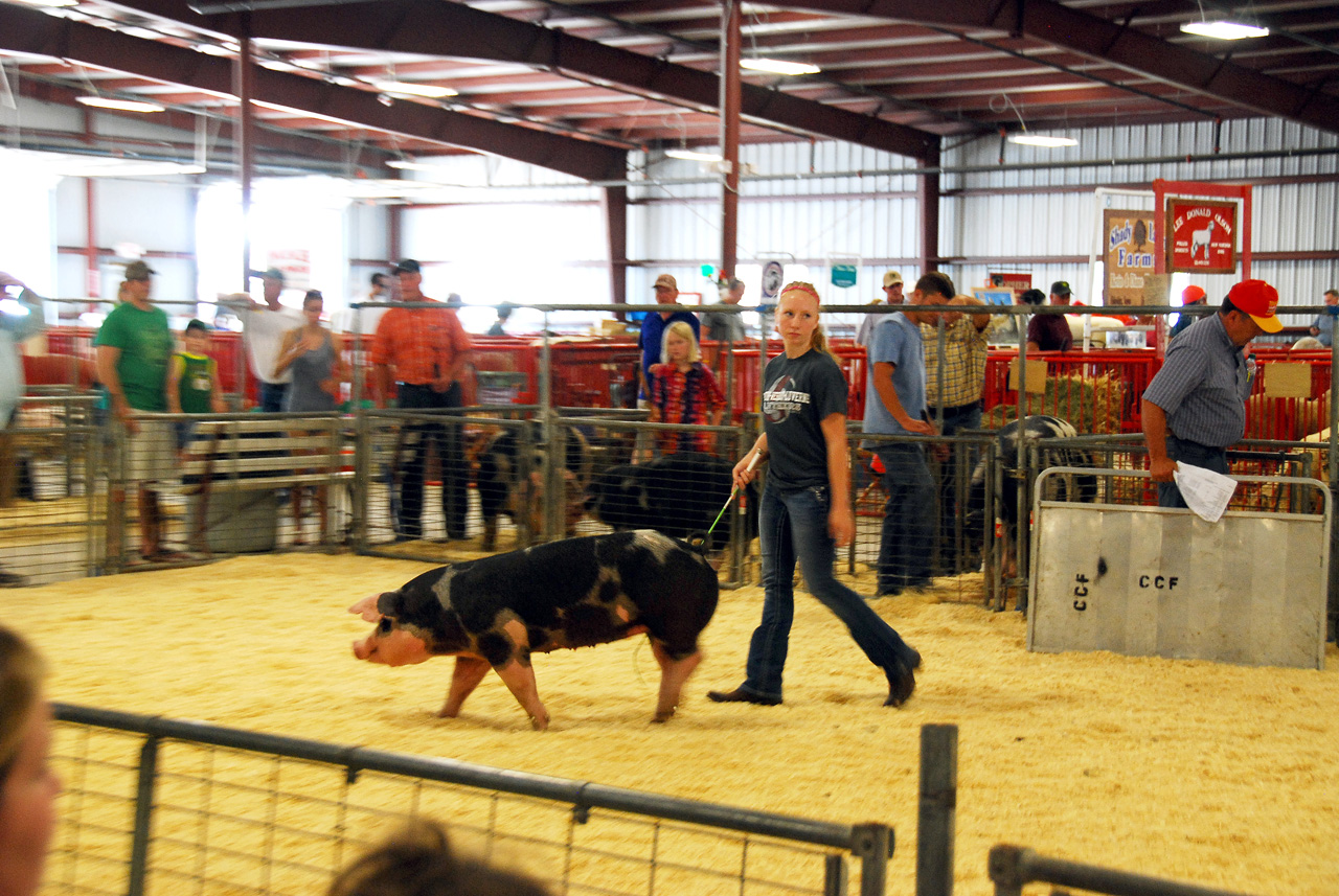 2013-09-07, 052, Clay County Fair, IA