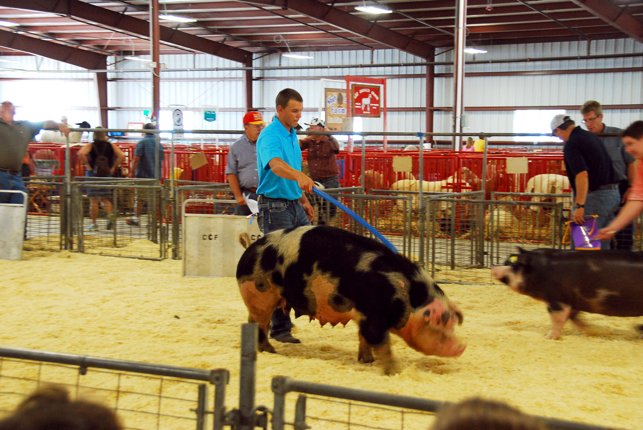 2013-09-07, 054, Clay County Fair, IA