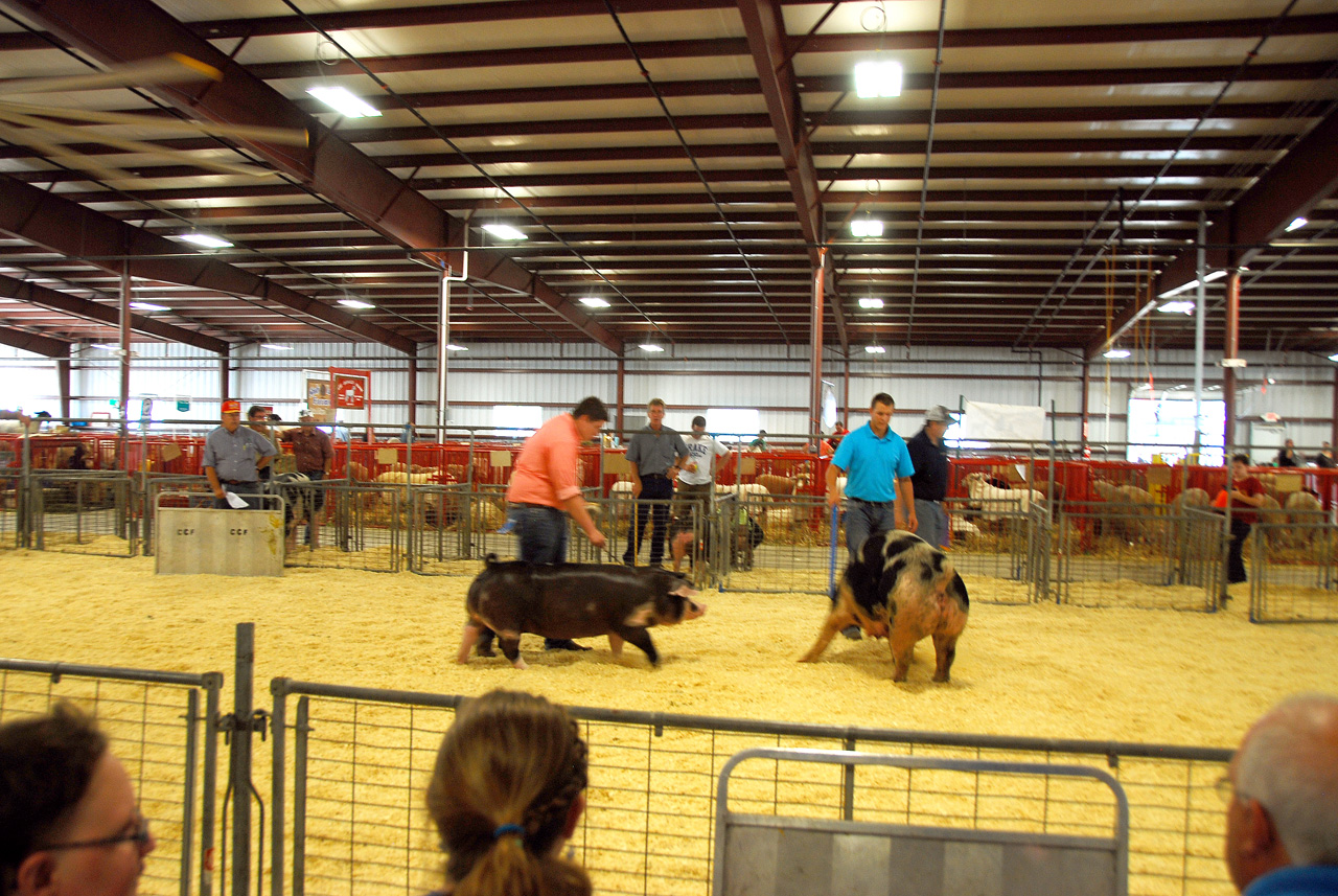 2013-09-07, 055, Clay County Fair, IA