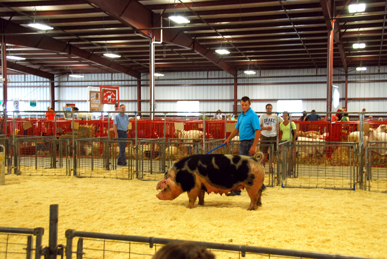 2013-09-07, 056, Clay County Fair, IA