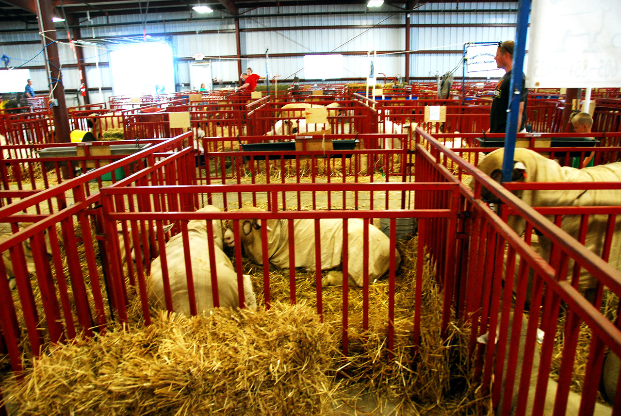 2013-09-07, 057, Clay County Fair, IA