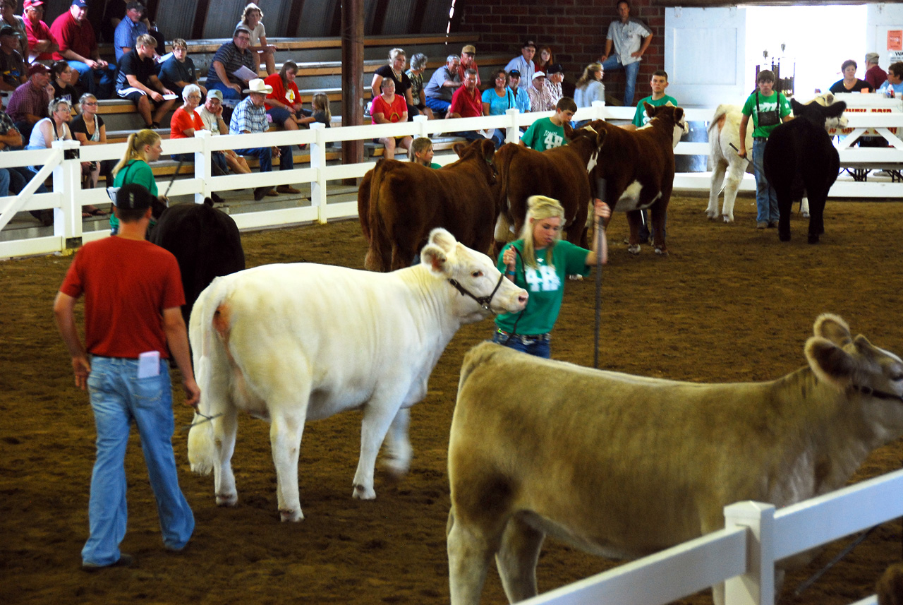 2013-09-07, 091, Clay County Fair, IA