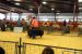 2013-09-07, 053, Clay County Fair, IA