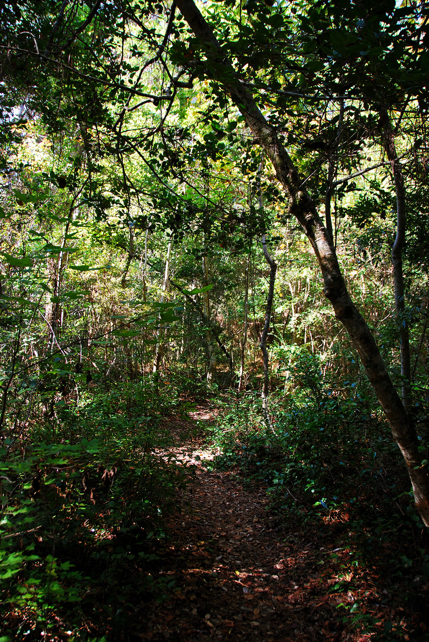 2013-10-30, 034, Myrtle Beach, SC