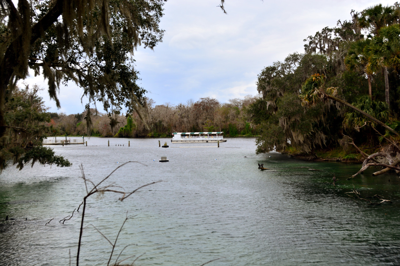 2014-01-21, 001, Blue Springs St Pk, FL