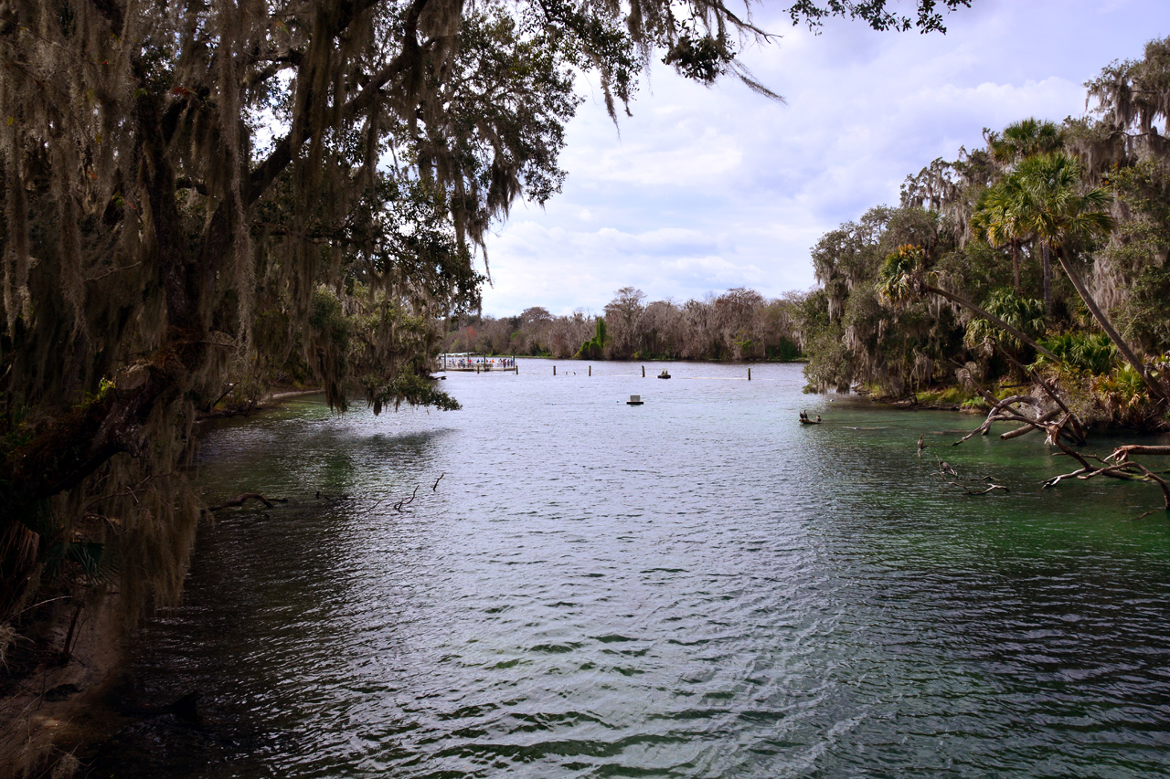 2014-01-21, 006, Blue Springs St Pk, FL