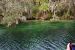 2014-01-21, 008, Blue Springs St Pk, FL