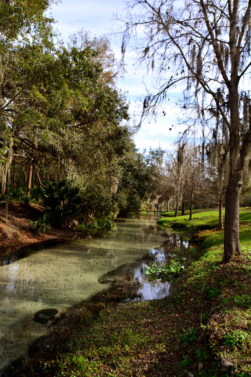 2014-01-09, 001, Along the River