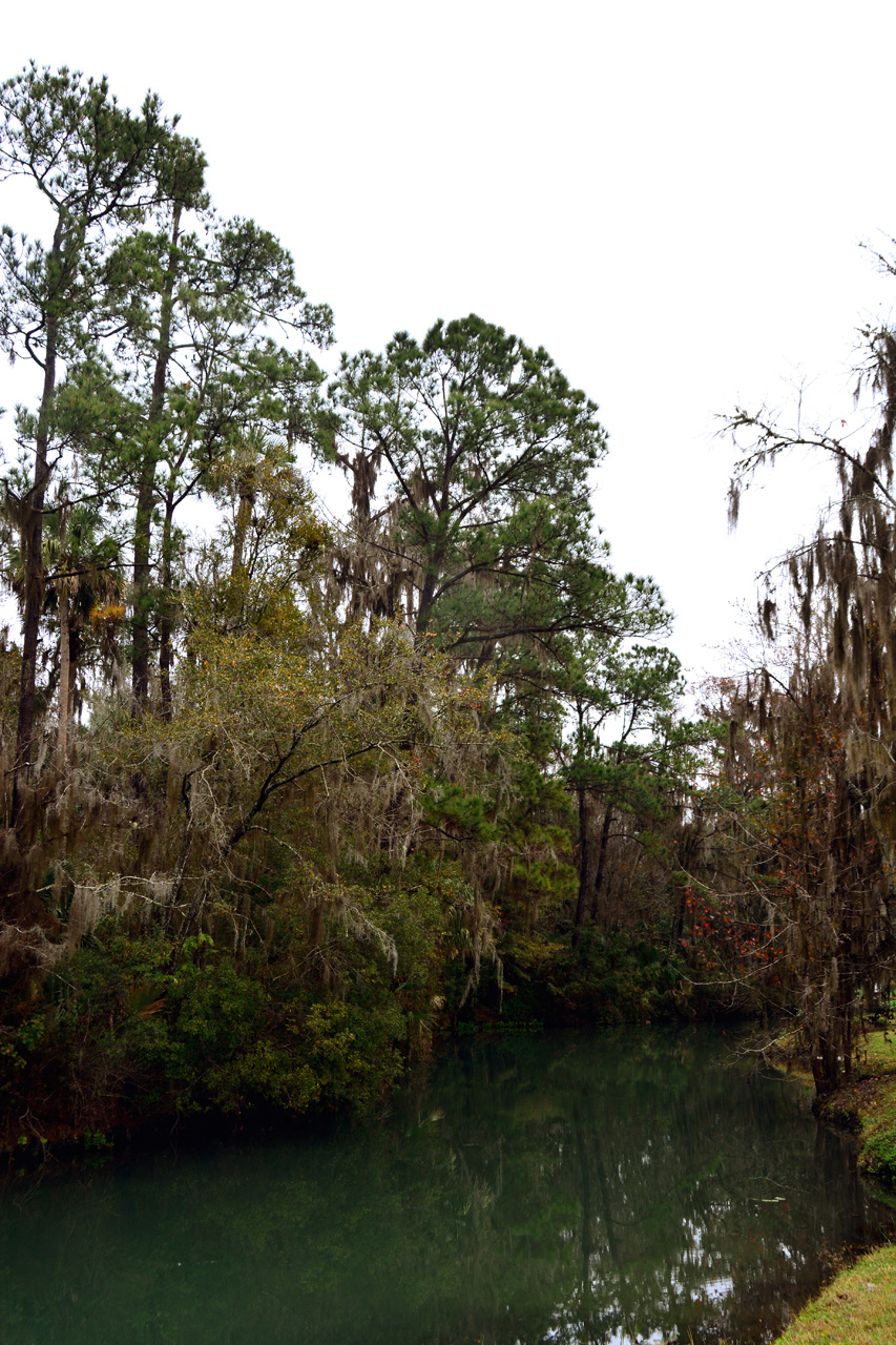 2014-01-09, 006, Along the River