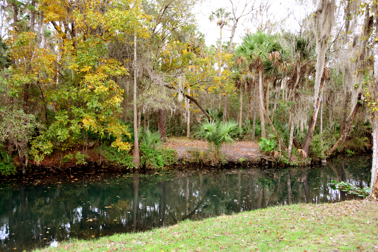 2014-01-09, 009, Along the River