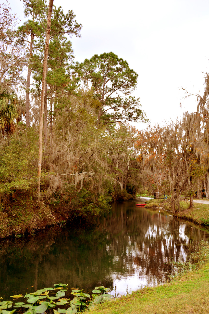 2014-01-09, 029, Along the River