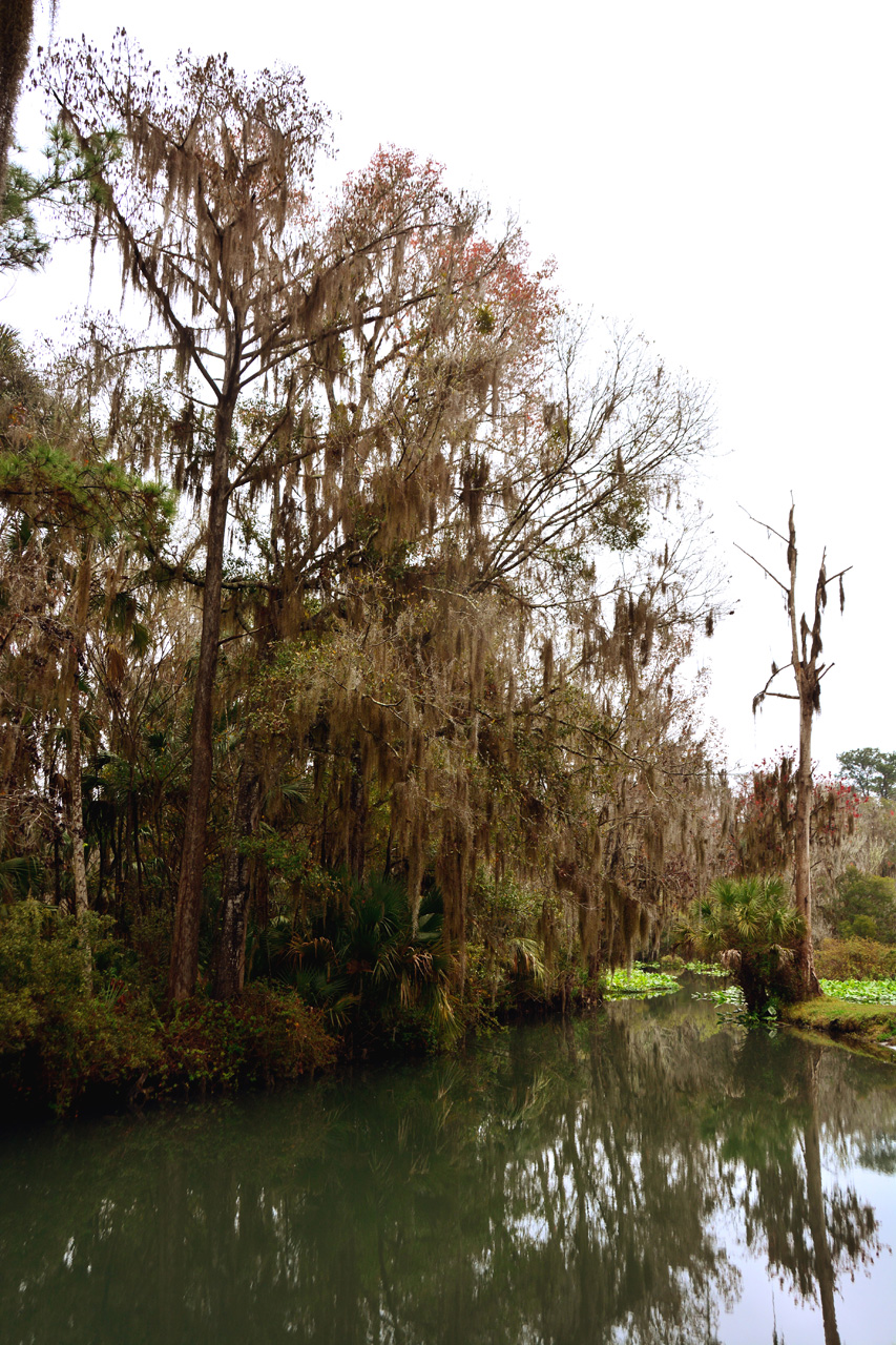 2014-01-09, 030, Along the River