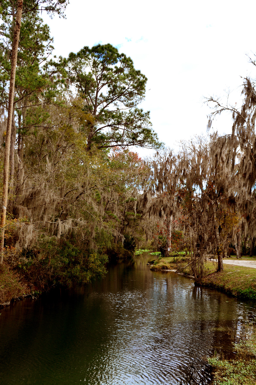 2014-01-09, 031, Along the River