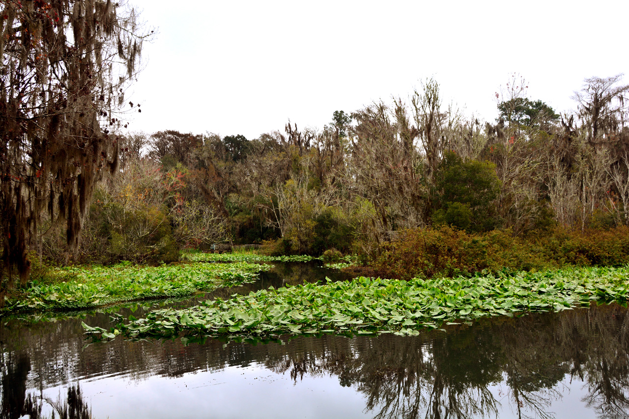 2014-01-09, 039, Along the River