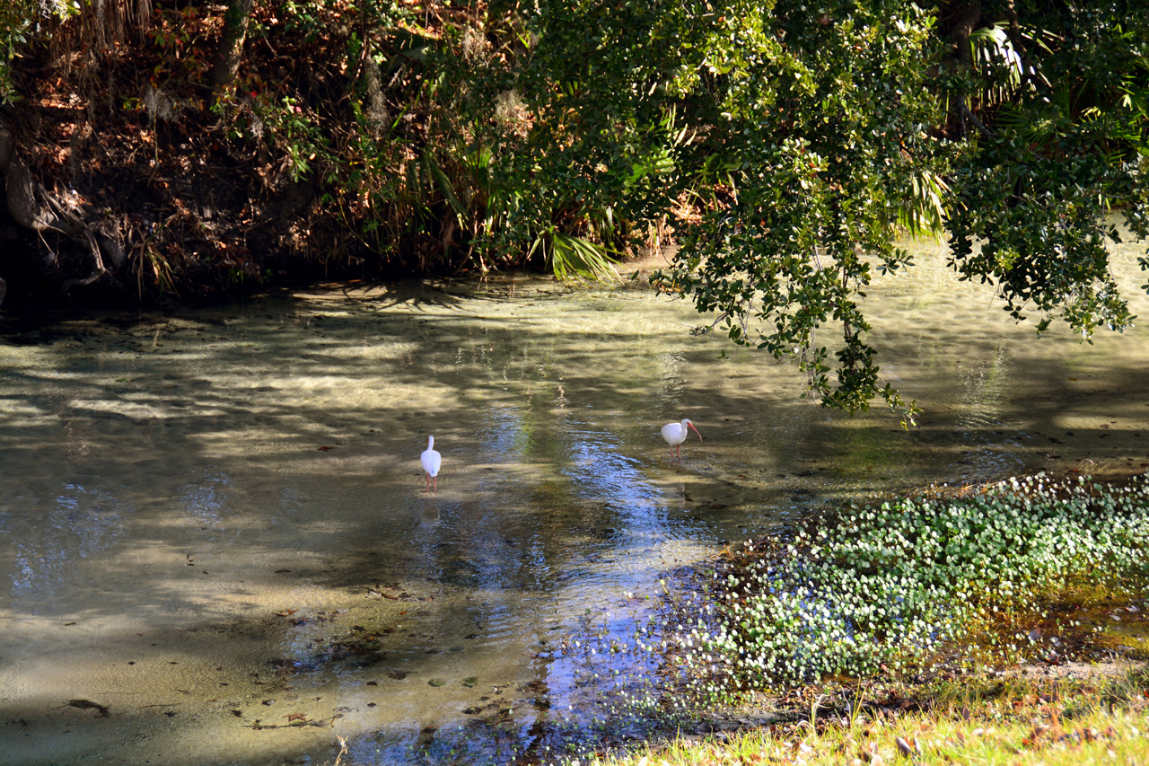 2014-01-09, 049, Along the River