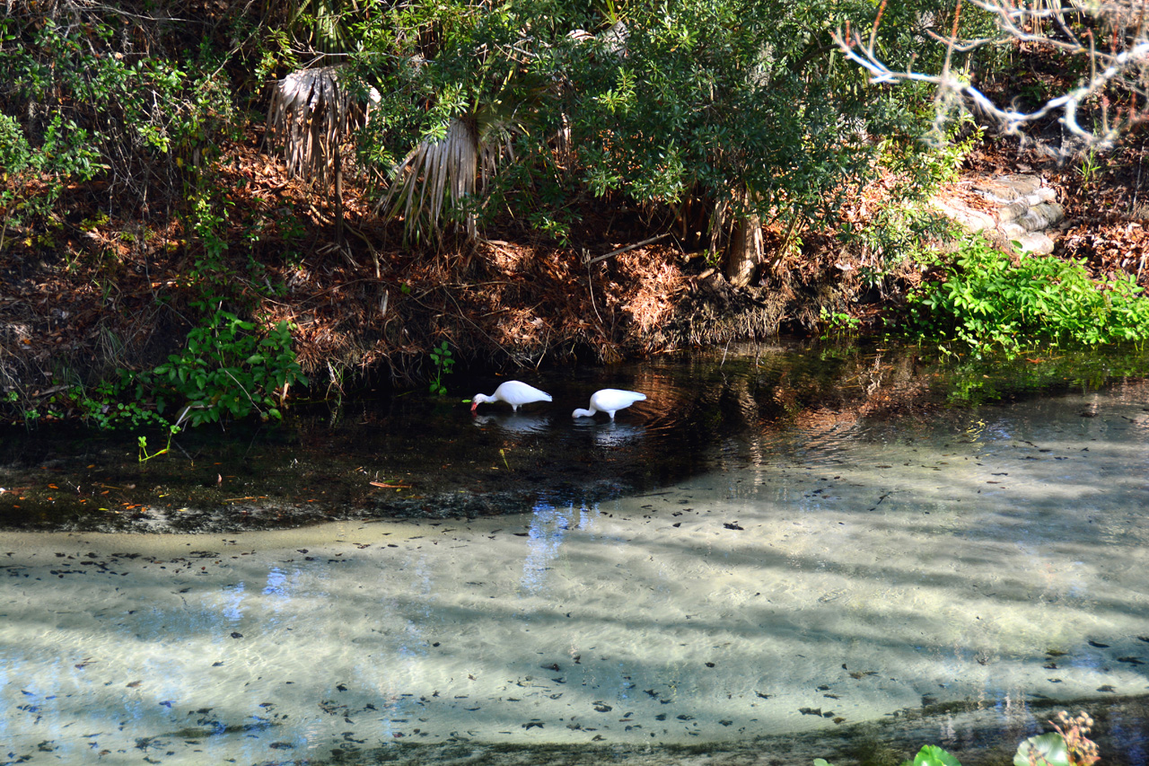 2014-01-09, 050, Along the River