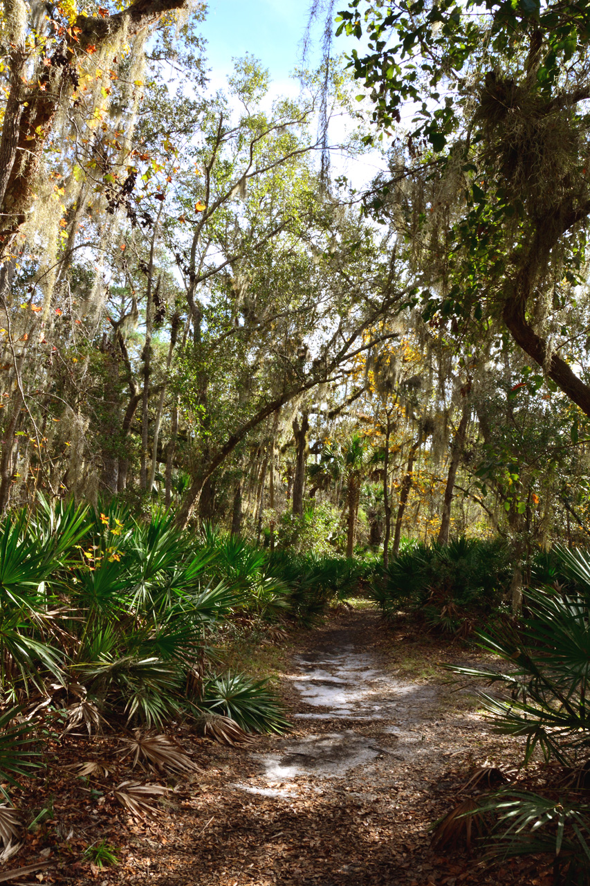 2014-01-12, 004, Nature Trail