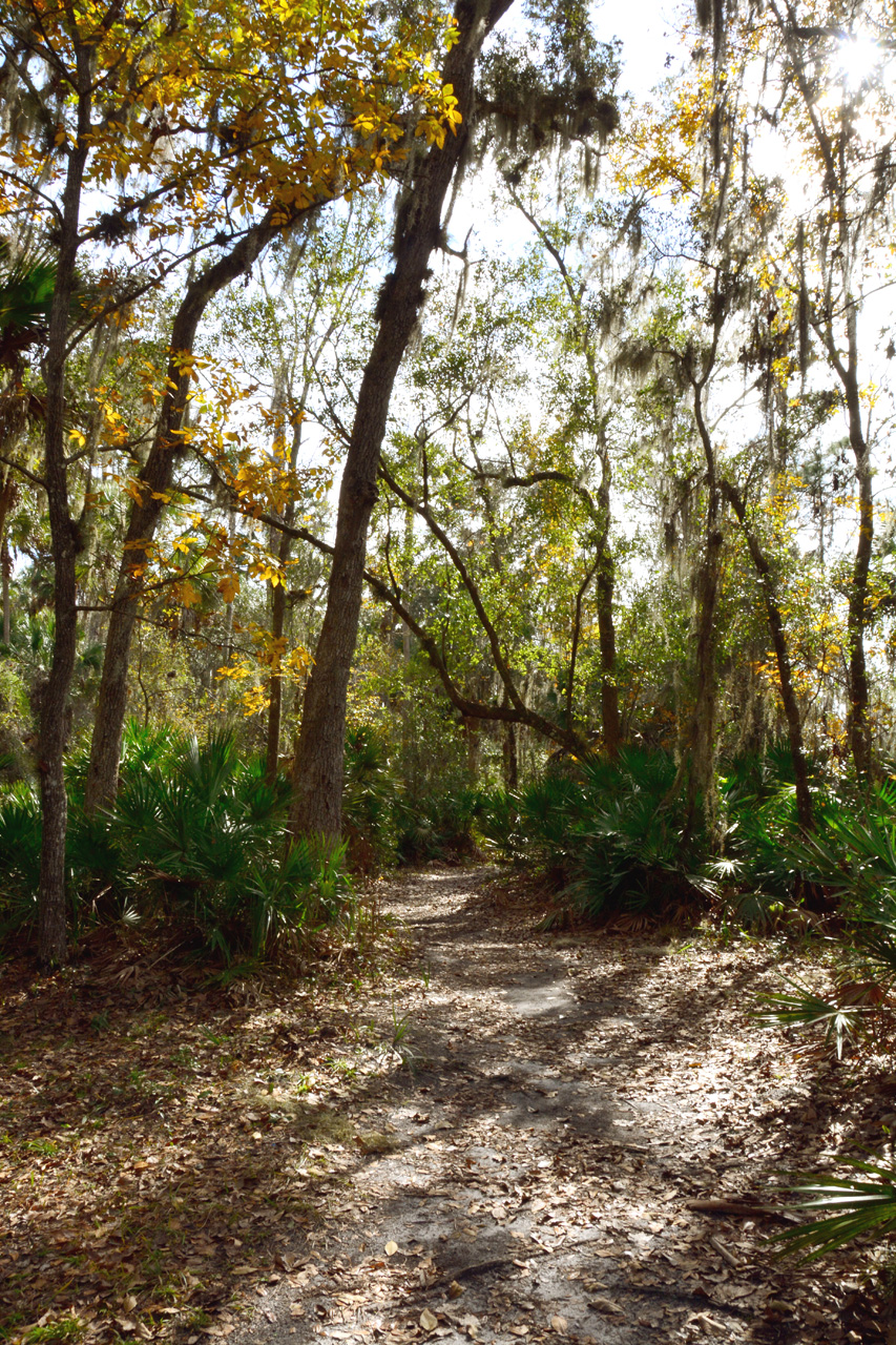 2014-01-12, 005, Nature Trail