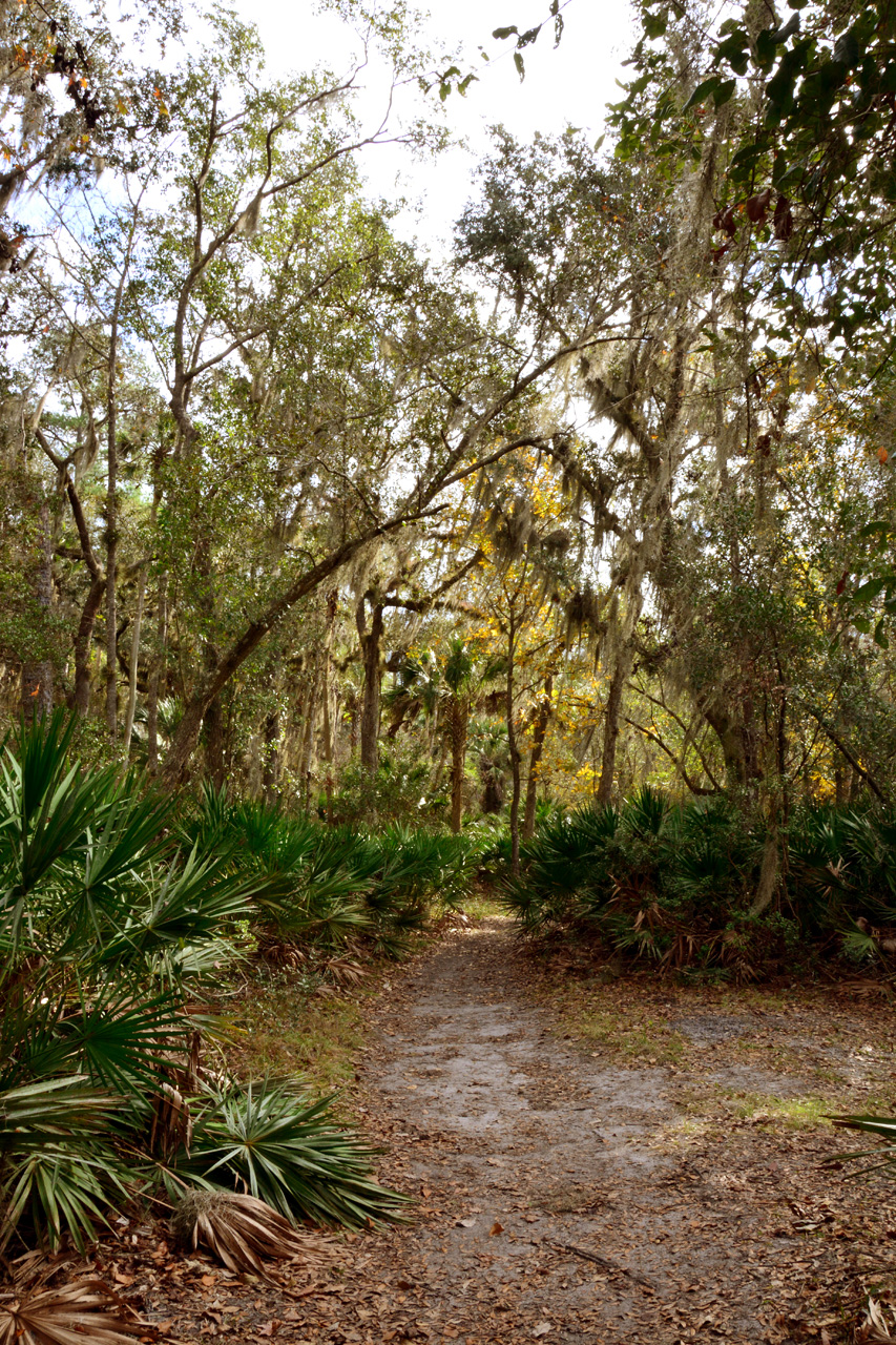 2014-01-12, 021, Nature Trail