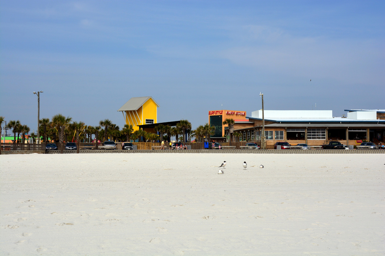 2014-02-24, 010, White Sand Beaches, AL
