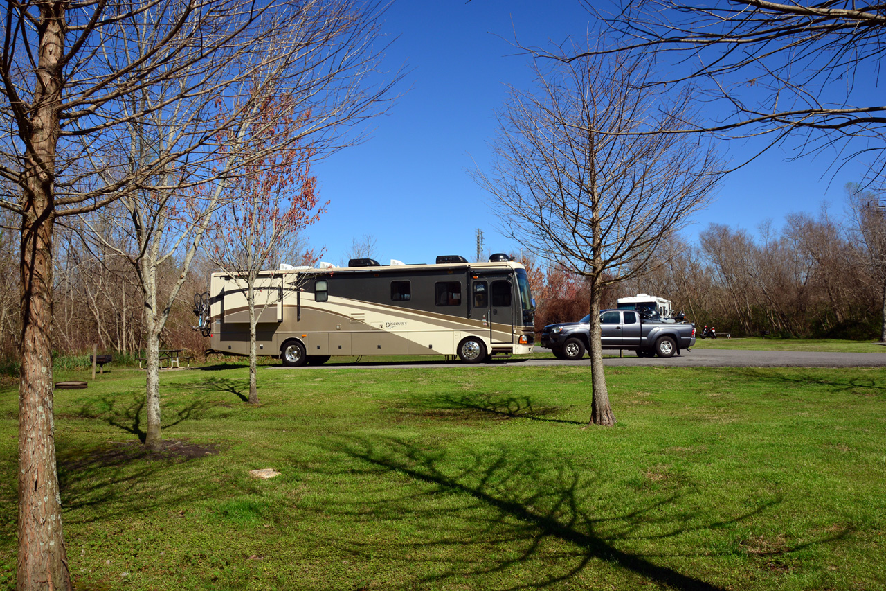 2014-02-25, 004, Bayou Segnette State Park, LA