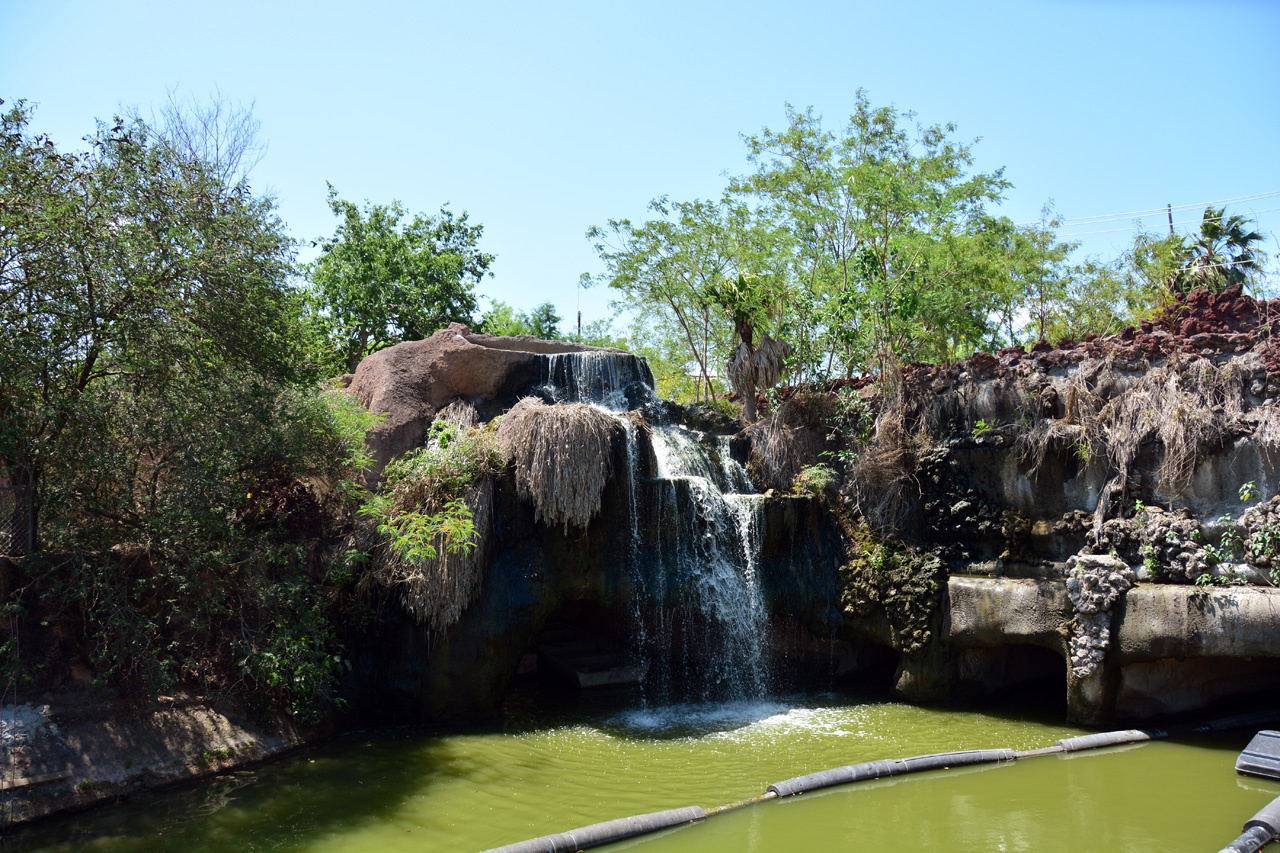 2014-04-23, 035, Gladys Porter Zoo, Brownsville, TX 