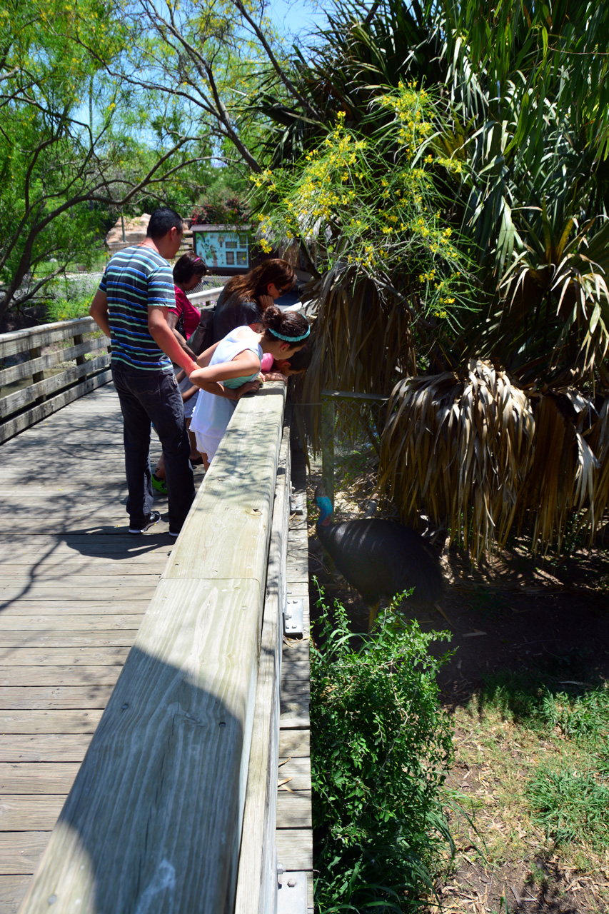 2014-04-23, 040, Gladys Porter Zoo, Brownsville, TX 