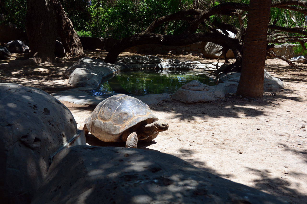 2014-04-23, 047, Gladys Porter Zoo, Brownsville, TX 