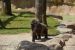 2014-04-23, 005, Gladys Porter Zoo, Brownsville, TX 