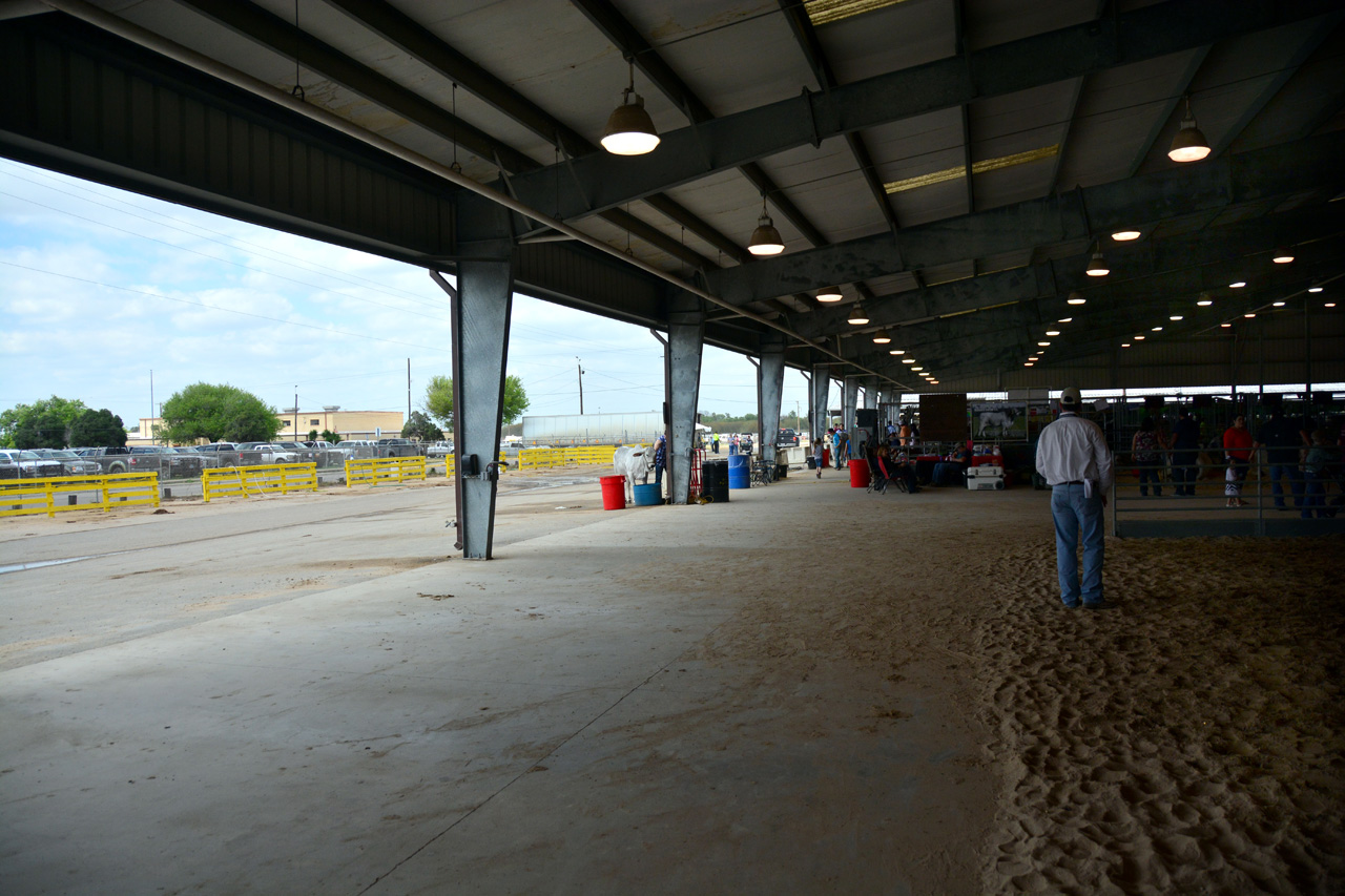 2014-03-14, 022, Judging of Steers, RGVLS, TX