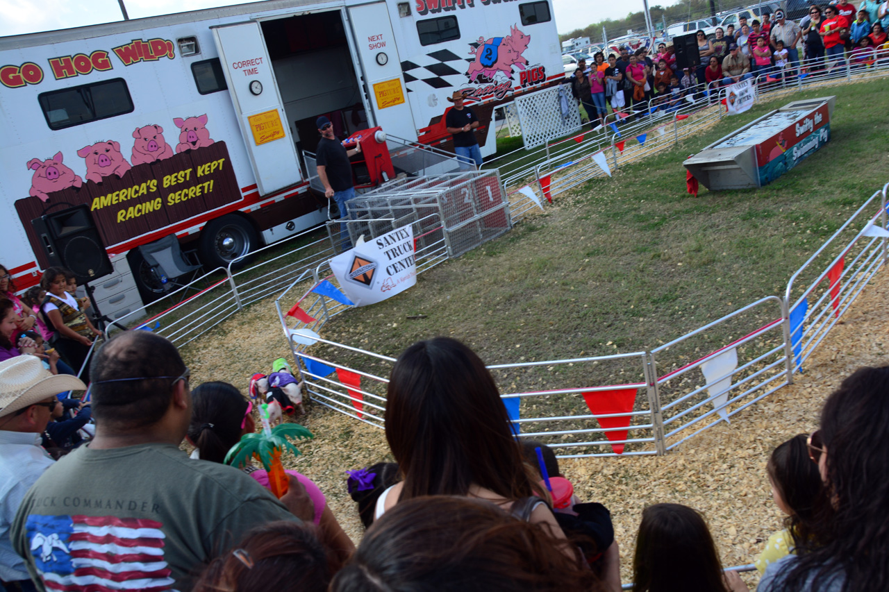 2014-03-14, 072, Swine Racing, RGVLS, TX