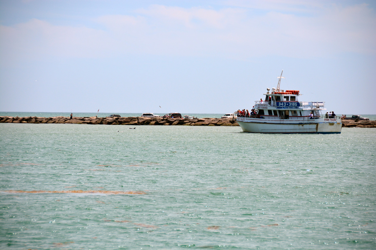 2014-04-09, 015, Dolphins, S Padre Island, TX