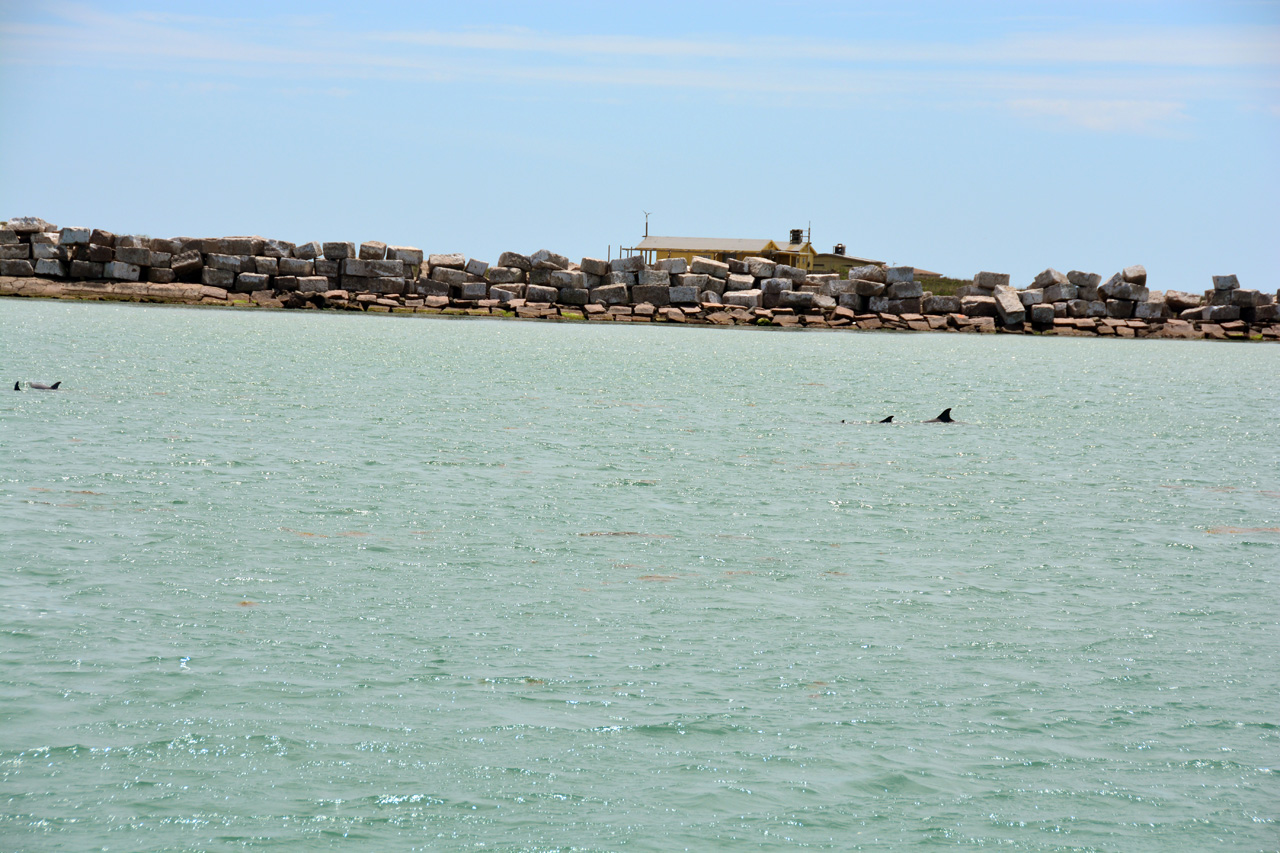 2014-04-09, 025, Dolphins, S Padre Island, TX