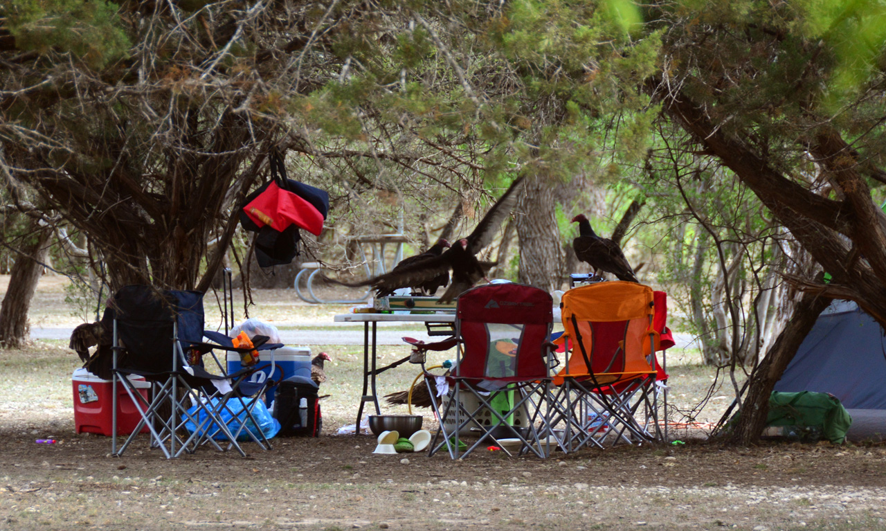 2014-05-01, 020, Garner State Park, TX