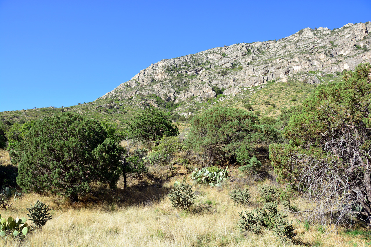 2014-05-05, 012, Devil's Hall Trail