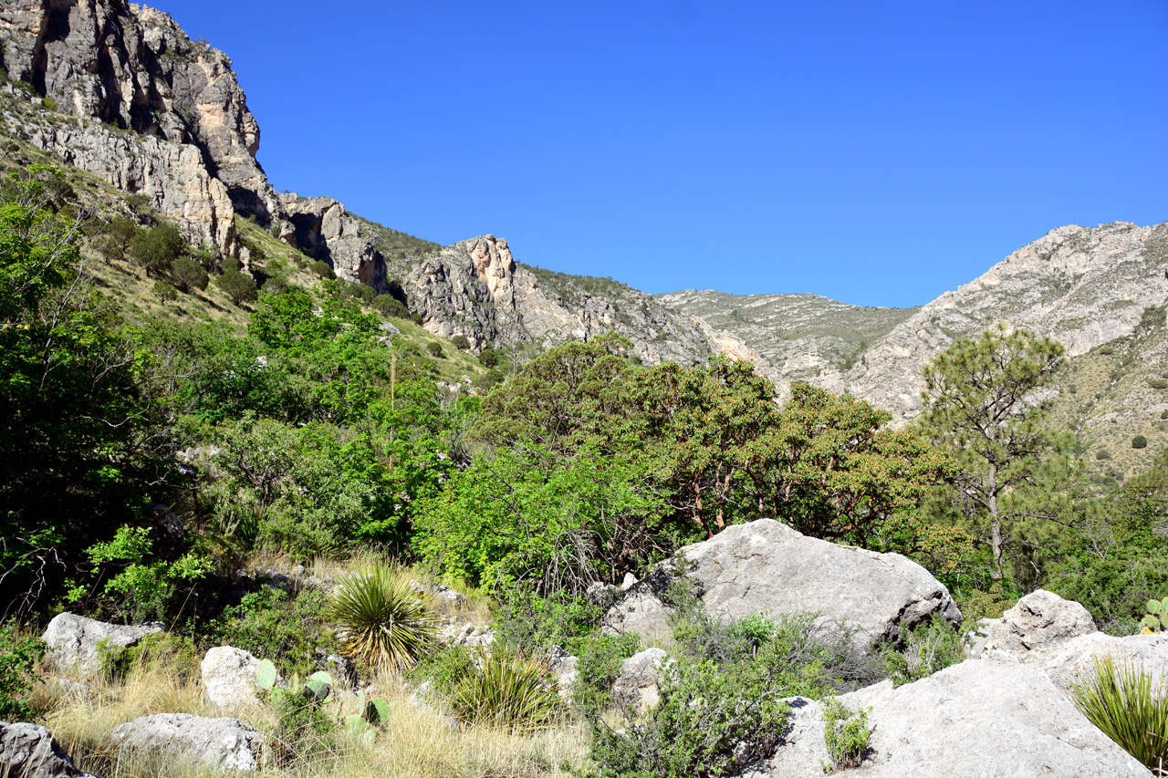 2014-05-05, 020, Devil's Hall Trail