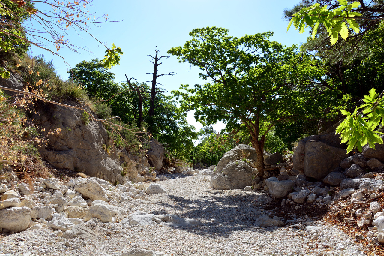 2014-05-05, 029, Devil's Hall Trail