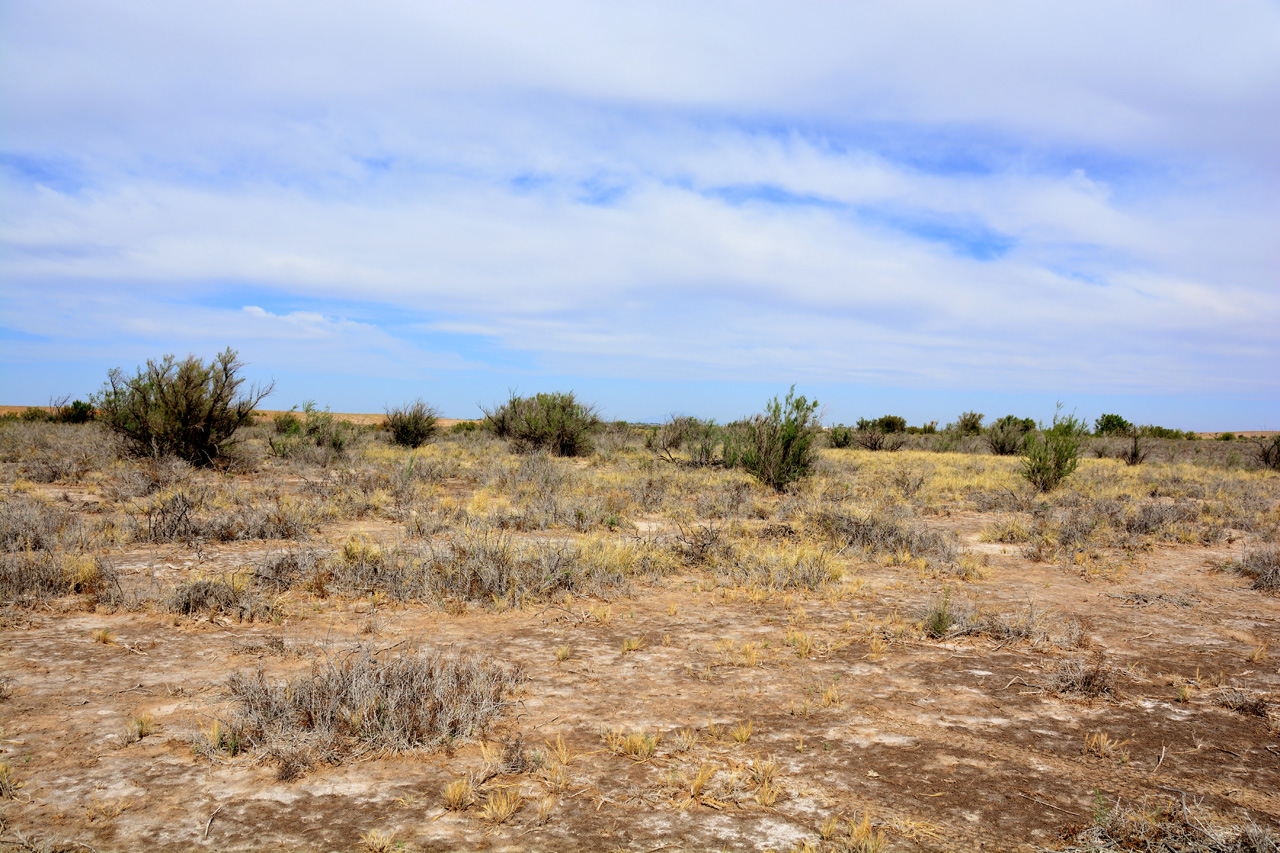 2014-05-09, 007, Buff Trail