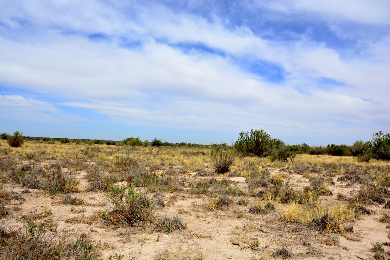 2014-05-09, 011, Buff Trail