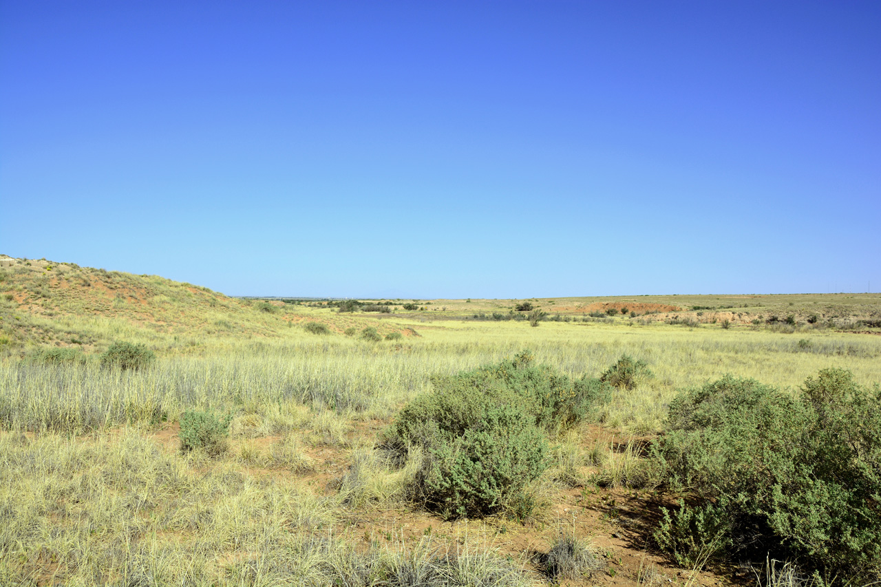 2014-05-08, 013, Skidmarks Trail