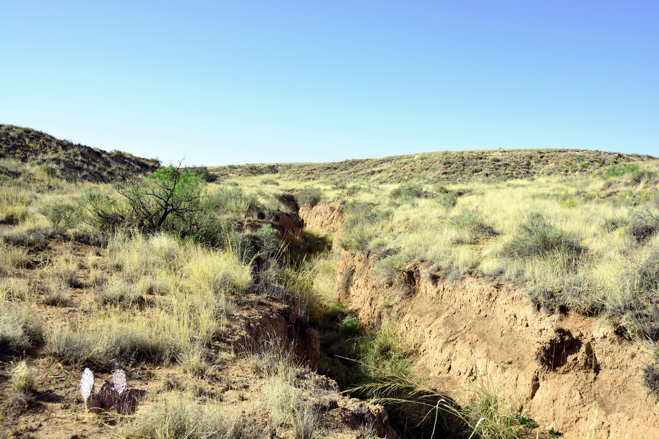 2014-05-08, 017, Skidmarks Trail