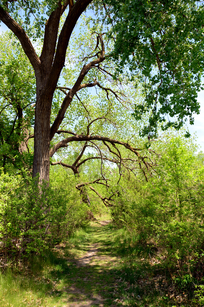 2014-0519, 003, Mormon Island State Park, NE