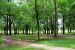 2014-05-27, 031, The Nauvoo Groves