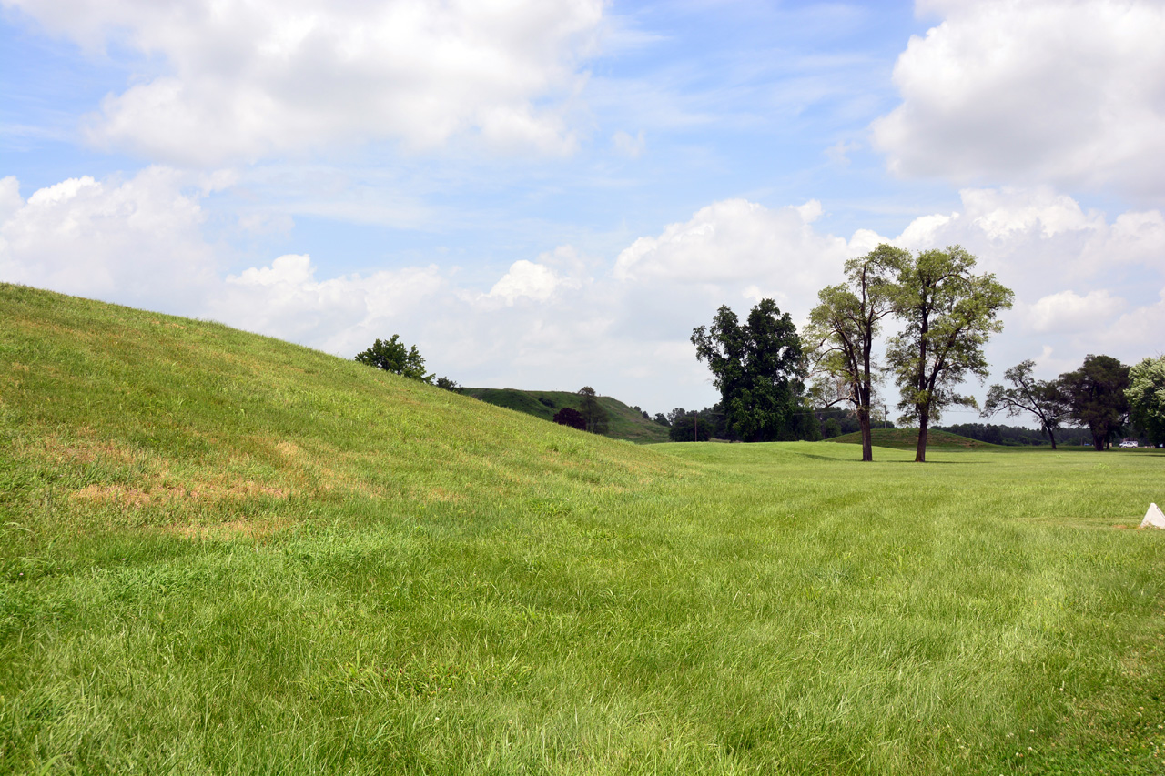 2014-06-17, 018, Cahokia Mounds SP, IL