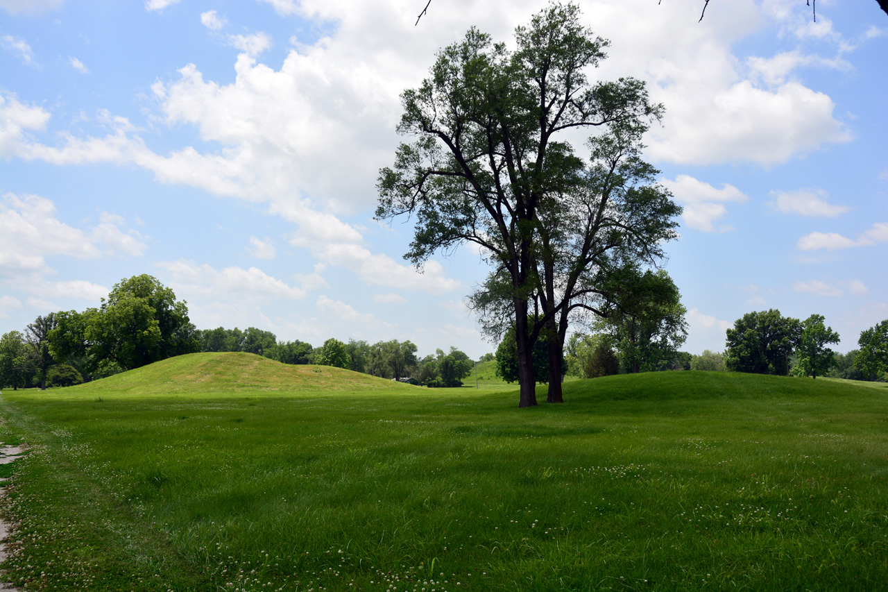 2014-06-17, 021, Cahokia Mounds SP, IL