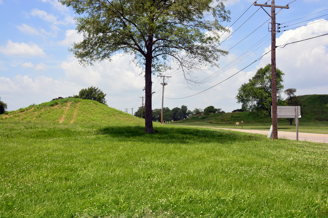 2014-06-17, 025, Cahokia Mounds SP, IL